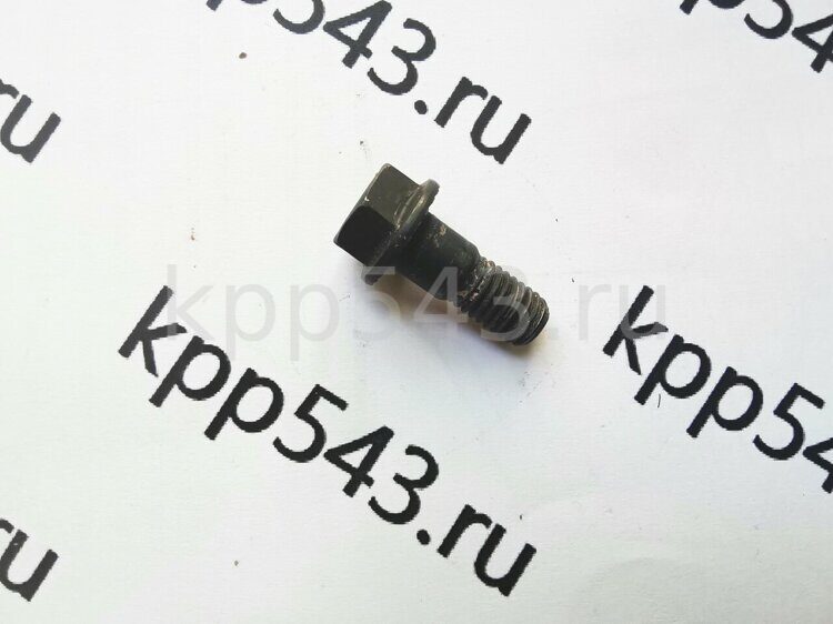 ***БОЛТ ГОЛОВКИ КПП ШТОКА ВЫБОРА ПЕРЕДАЧ HOVER H3,H5 SAFE ZM001B-1702059