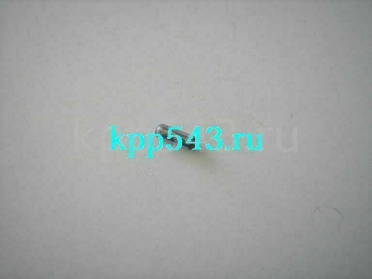 РОЛИК КПП 4/4 ПЕРВИЧНОГО ВАЛА GW HOVER WINGLE ДИЗЕЛЬ ZM001A-1701116